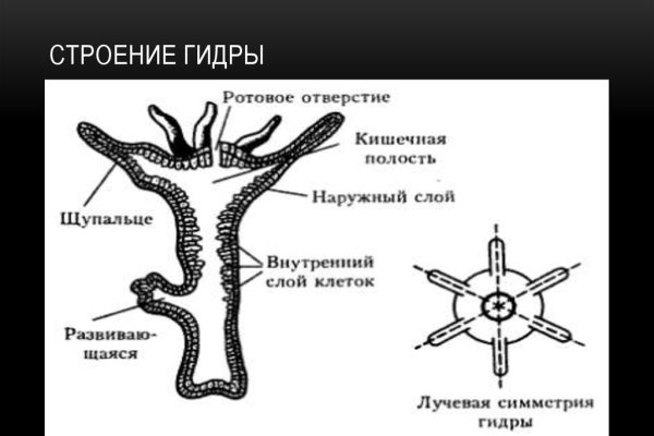 Кракен вход магазин kraken17ate pro