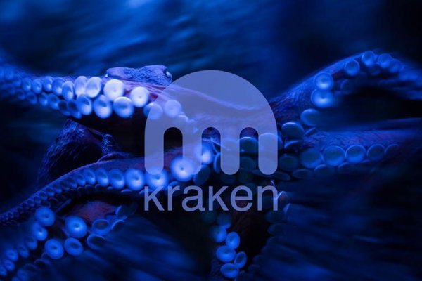 Ссылка на kraken в браузере krmp.cc