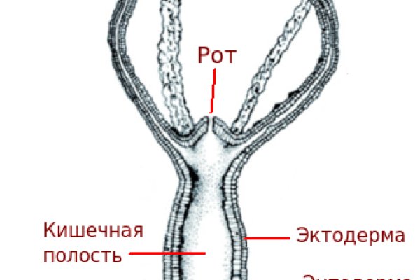 Сайт кракен тор