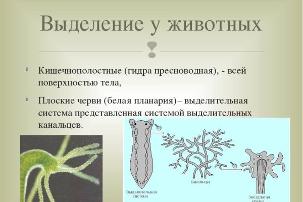 Kraken рабочее зеркало