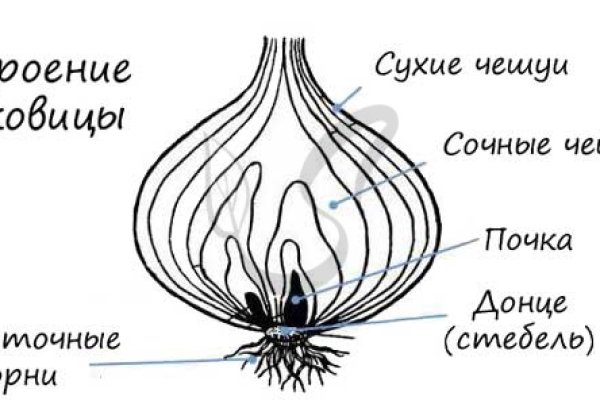 Кракен шоп зеркало