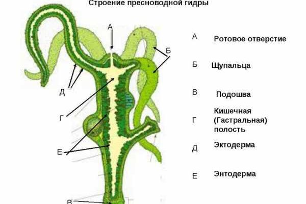 Сайты с наркотой