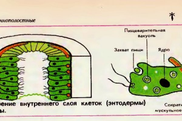 Кракен онион зеркала зеркало